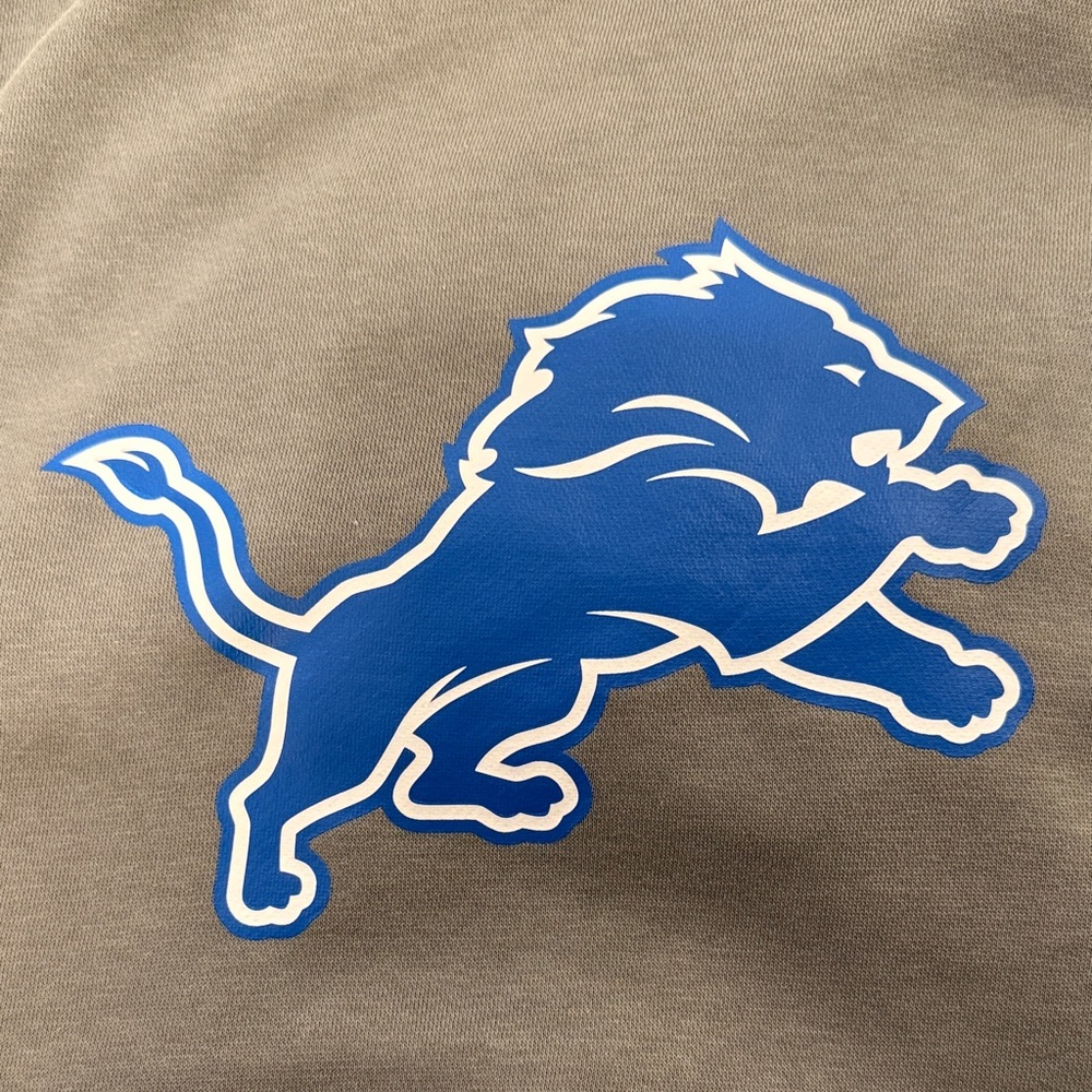 NFL Nike sweatshirt with Blue Detroit Lion Logo - Picture 12 of 16